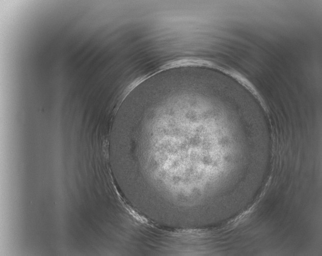 X0000058120953200510071936