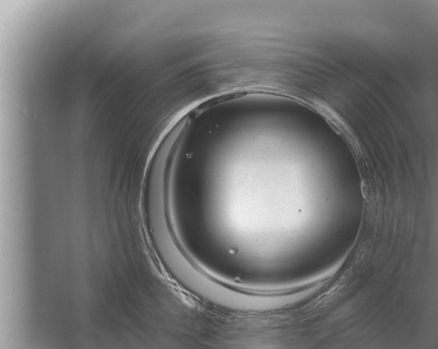 X0000058120956200510071936