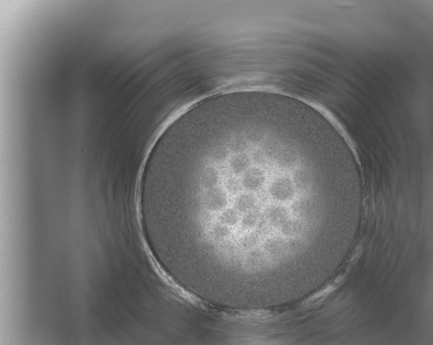 X0000058120957200510071936