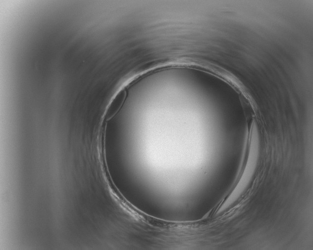 X0000058120958200510071936