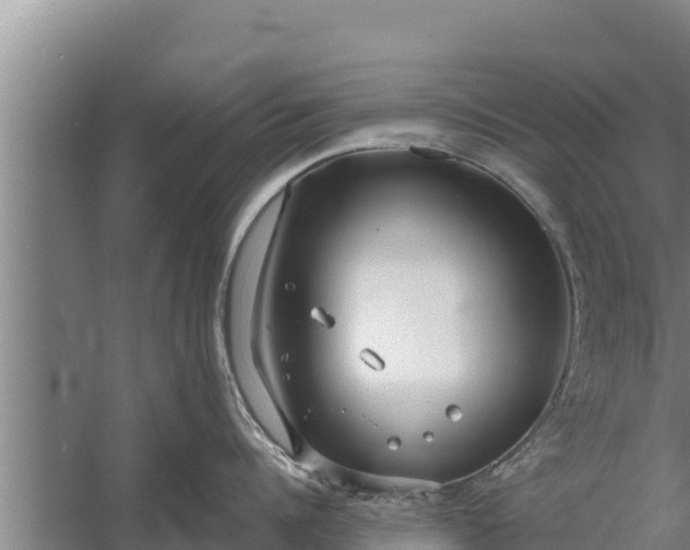 X0000058120960200510071936