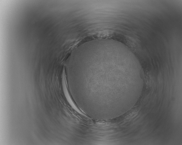 X0000058120962200510071935