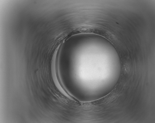 X0000058120964200510071935