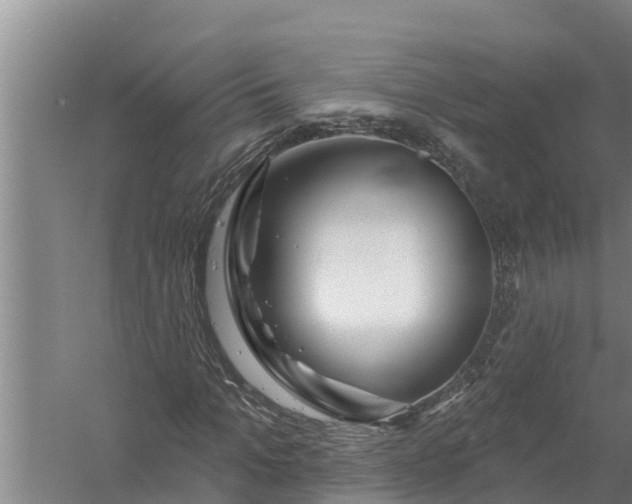 X0000058120965200510071935