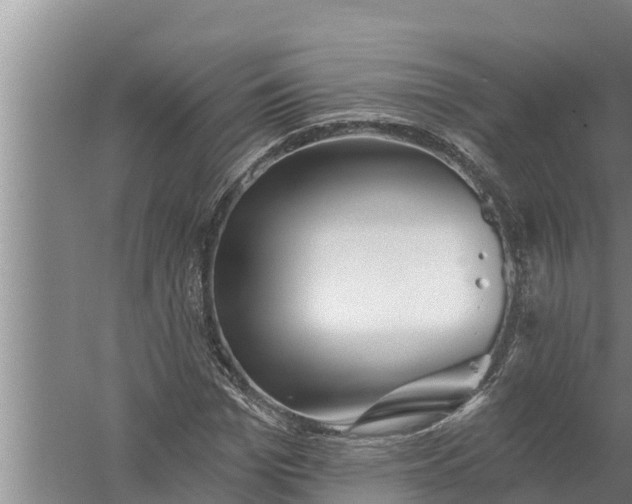 X0000058120969200510071935