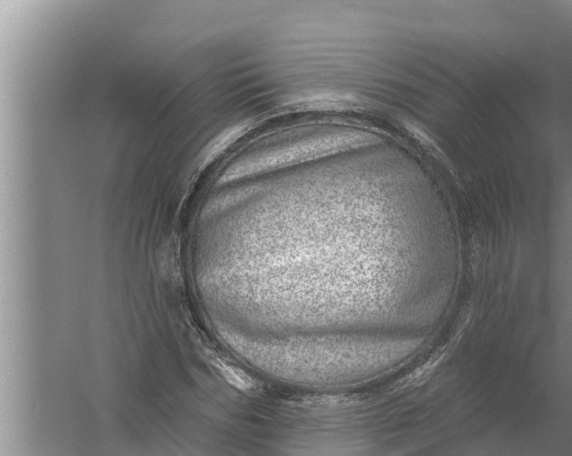 X0000058120970200510071935