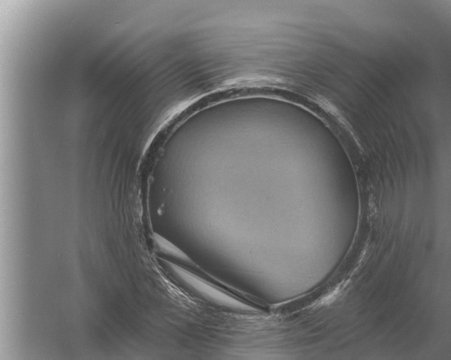 X0000058120973200510071935