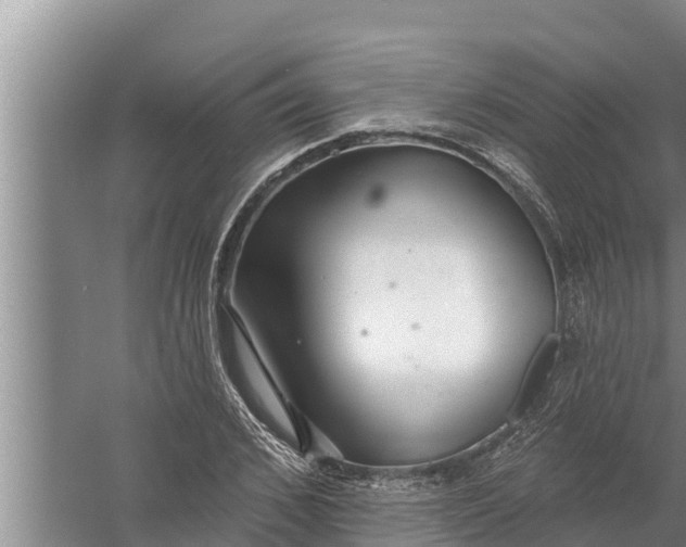 X0000058120976200510071935