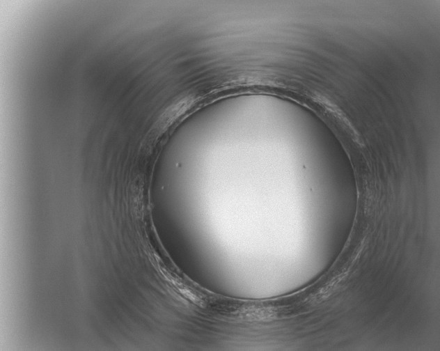 X0000058120977200510071935