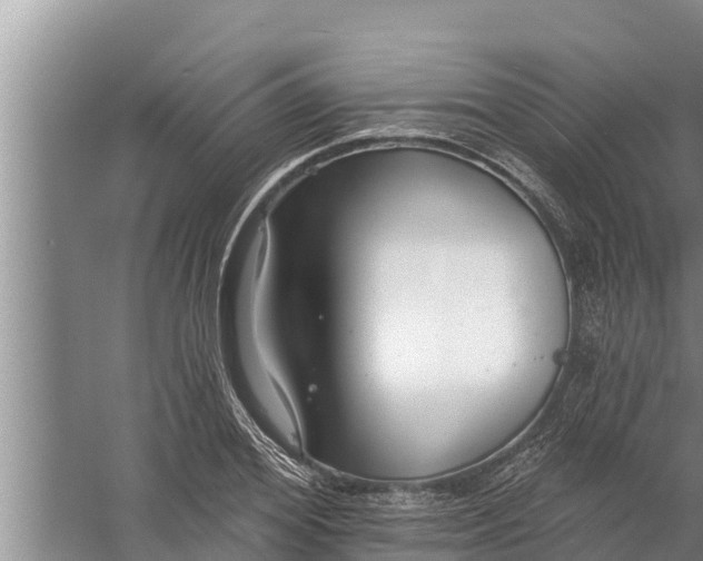 X0000058120980200510071935