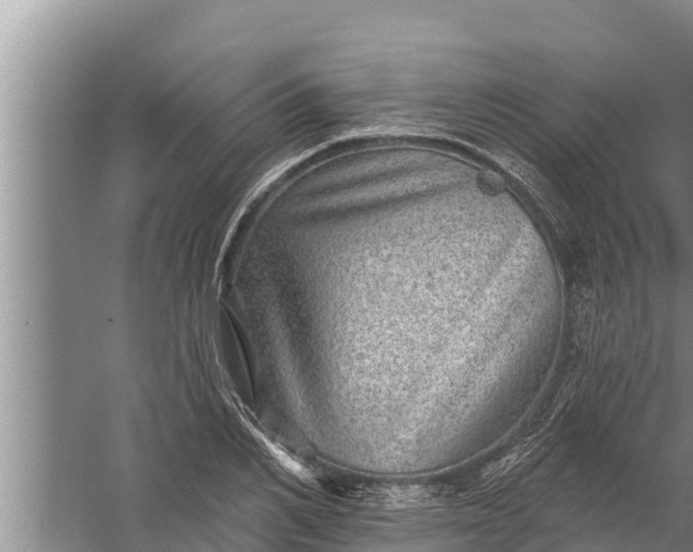 X0000058120982200510071935