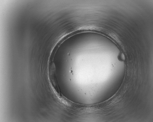 X0000058120984200510071935