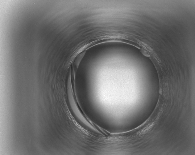 X0000058120985200510071935