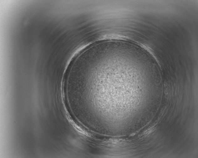 X0000058120987200510071934