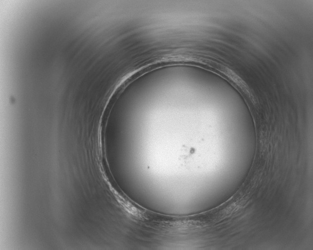 X0000058120988200510071934