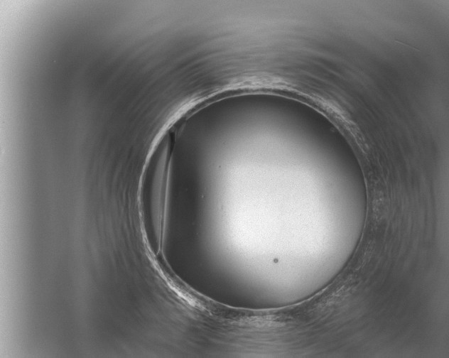 X0000058120990200510071934