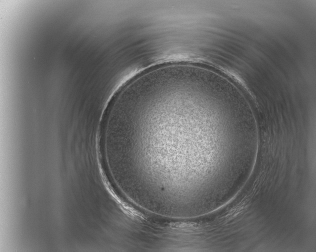 X0000058120991200510071934