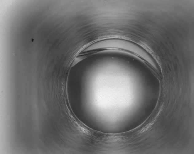 X0000058120993200510071934