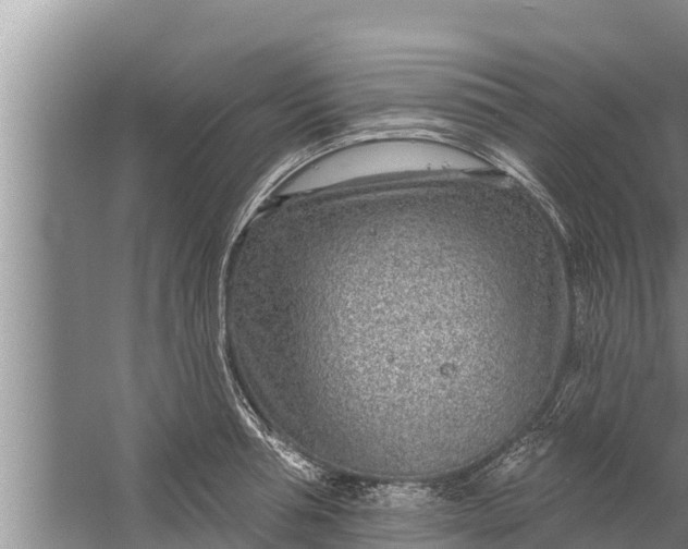 X0000058120994200510071934