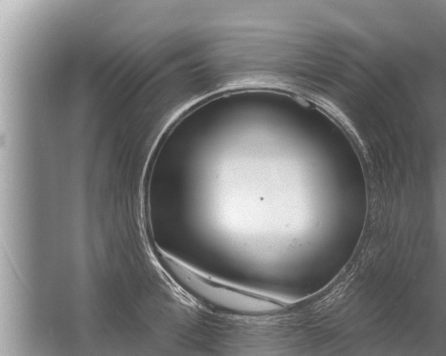 X0000058120996200510071934