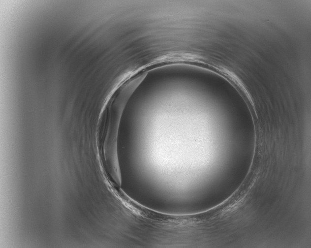 X0000058120997200510071934