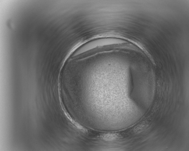 X0000058120998200510071934