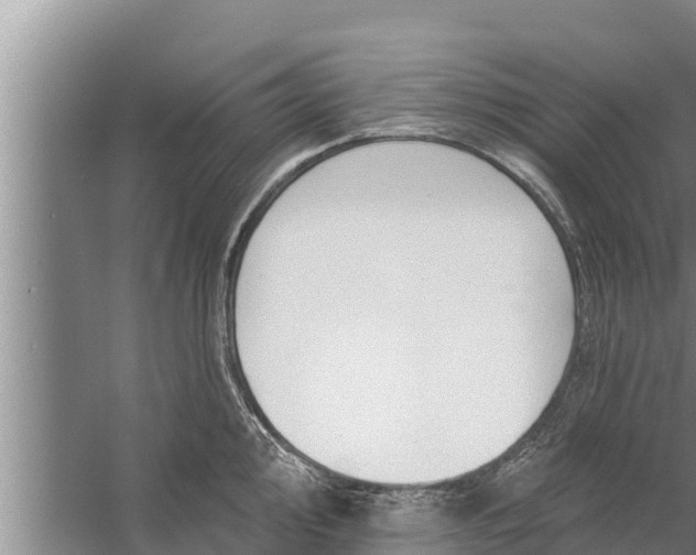 X0000058121000200510071934