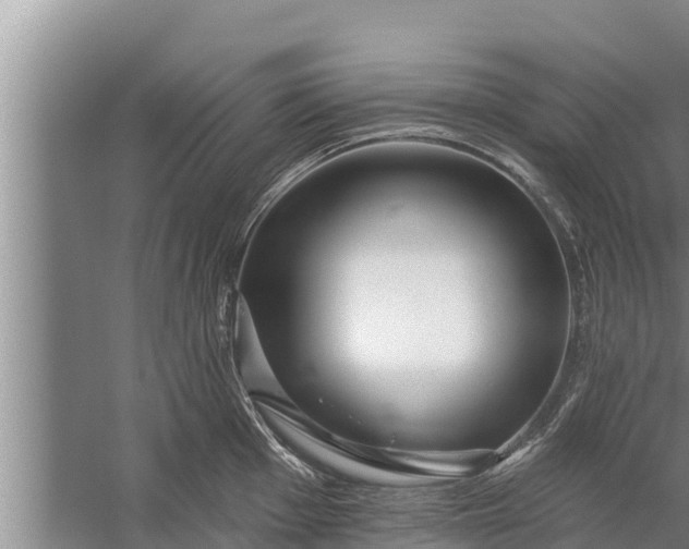 X0000058121001200510071934