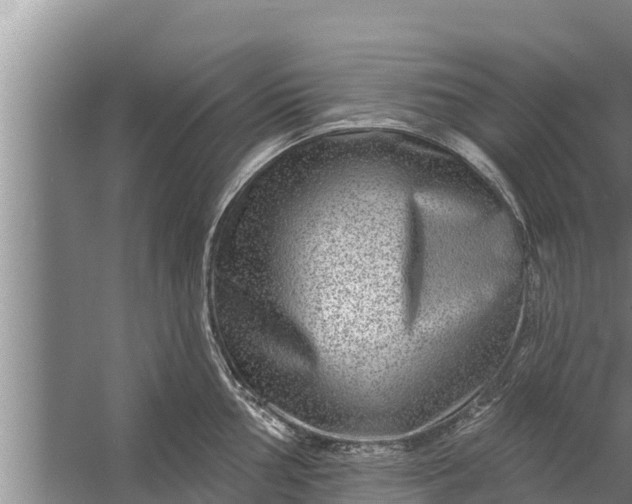 X0000058121002200510071934