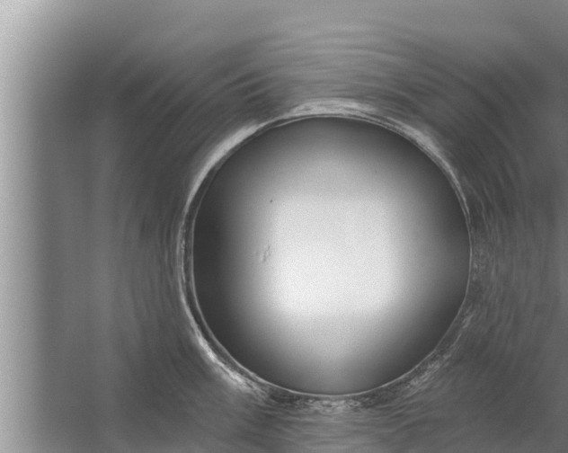 X0000058121003200510071934