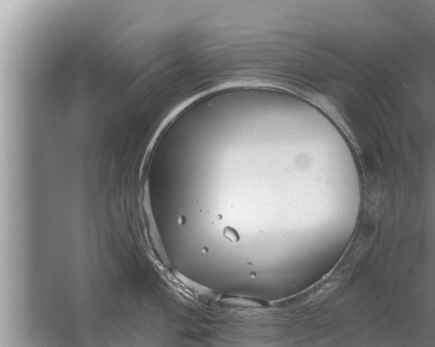 X0000058121004200510071934