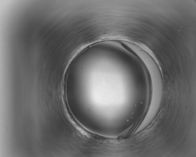 X0000058121005200510071934