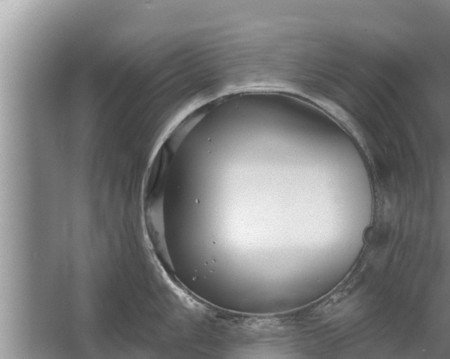 X0000058121006200510071934