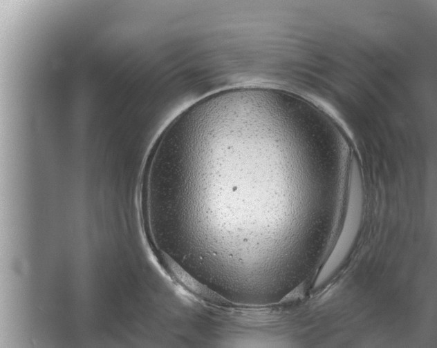 X0000058121007200510071934