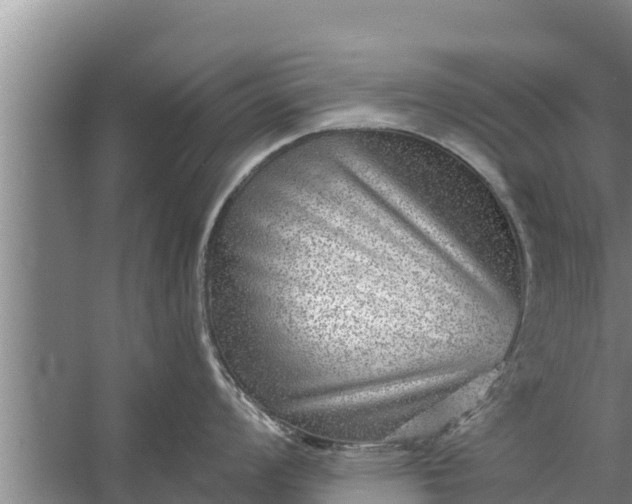 X0000058121008200510071934