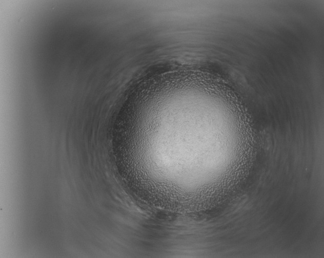 X0000058121009200510071933