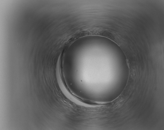 X0000058121010200510071933