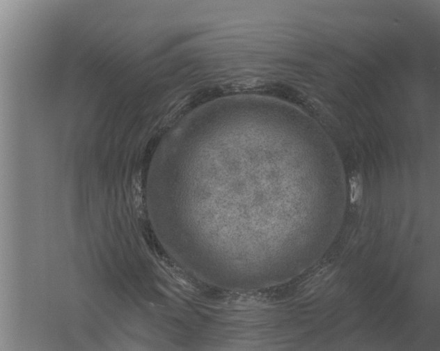 X0000058121011200510071933