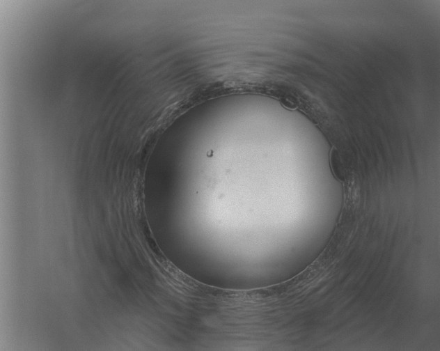 X0000058121012200510071933