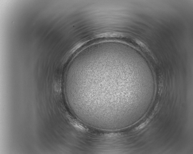 X0000058121017200510071933