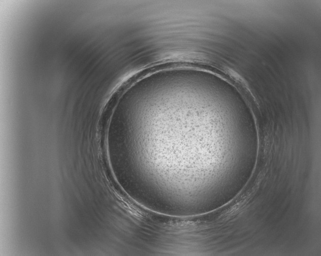 X0000058121019200510071933