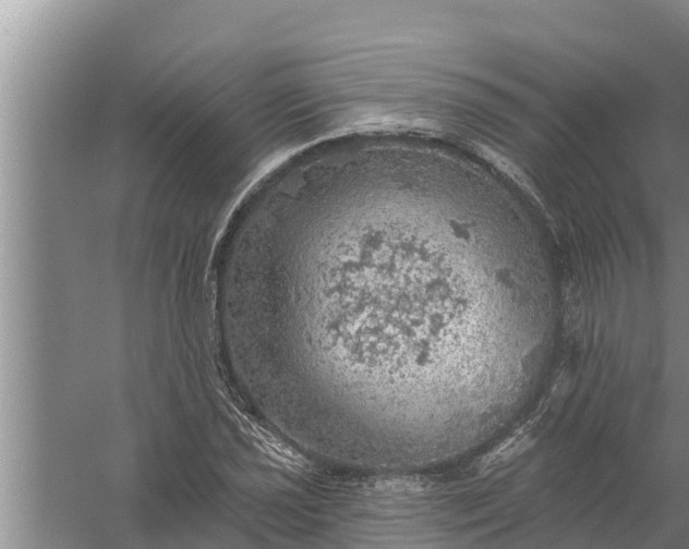 X0000058121021200510071934