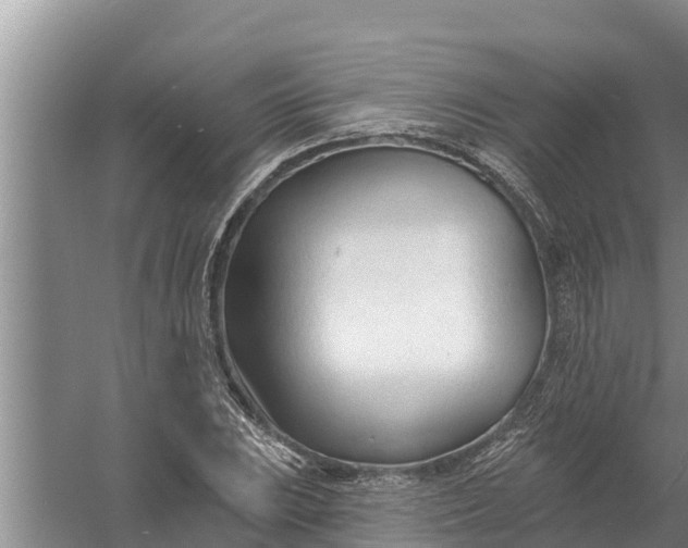 X0000058121023200510071934