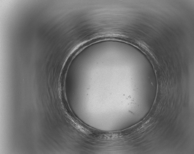 X0000058121024200510071934