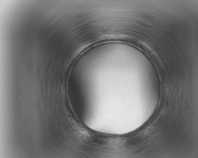 X0000058121025200510071934