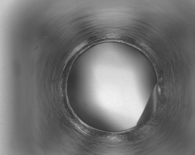 X0000058121026200510071934