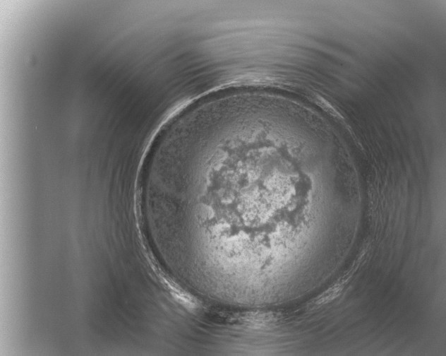 X0000058121029200510071934