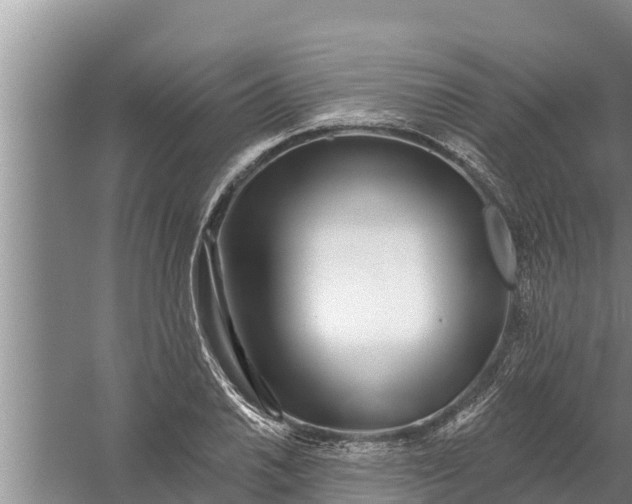 X0000058121030200510071934