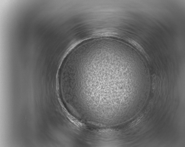 X0000058121031200510071934