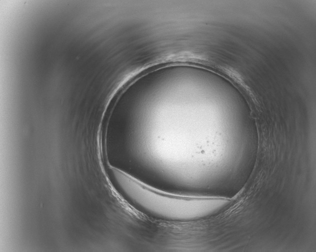 X0000058121032200510071934